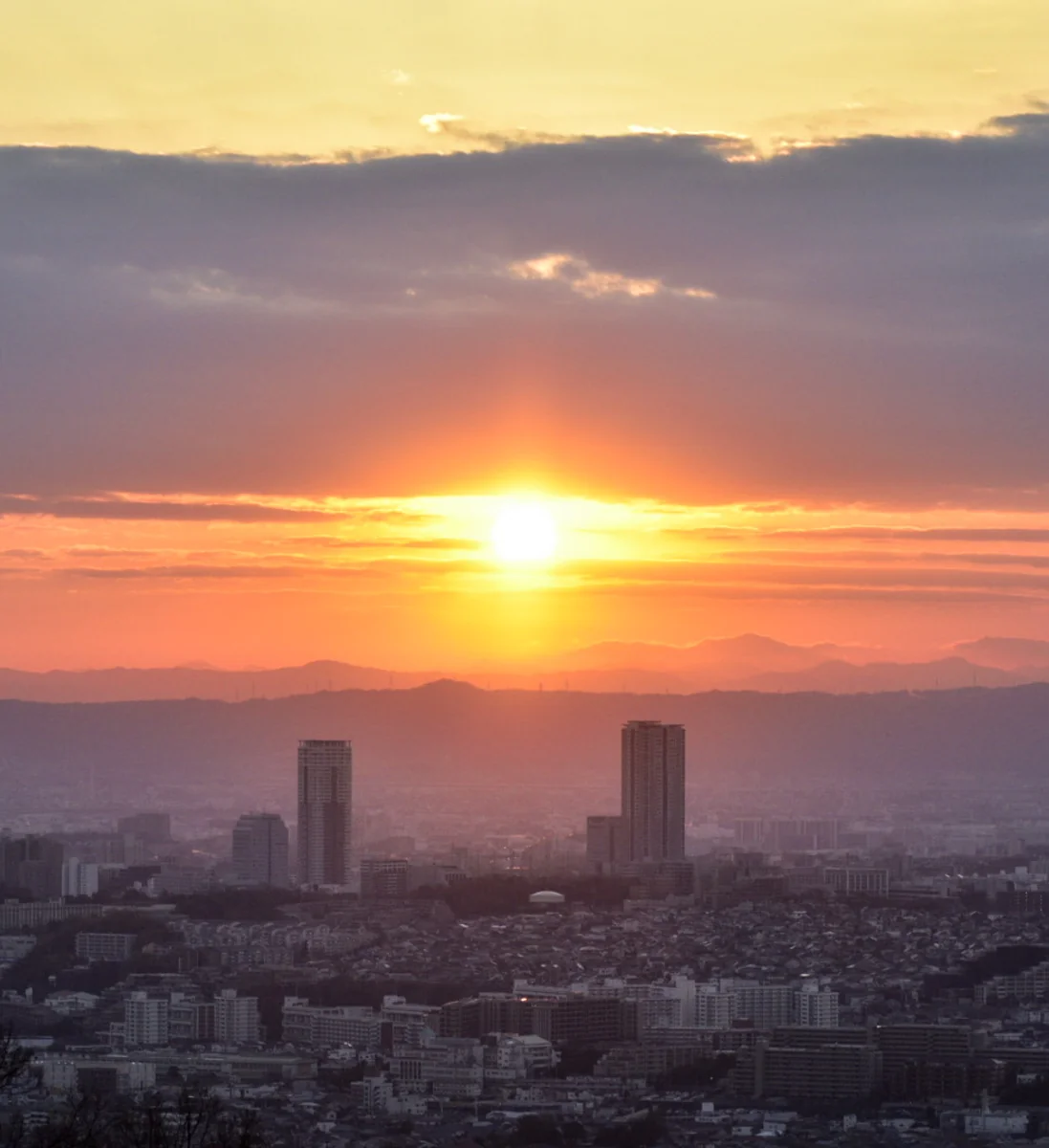 投稿写真：初日の出