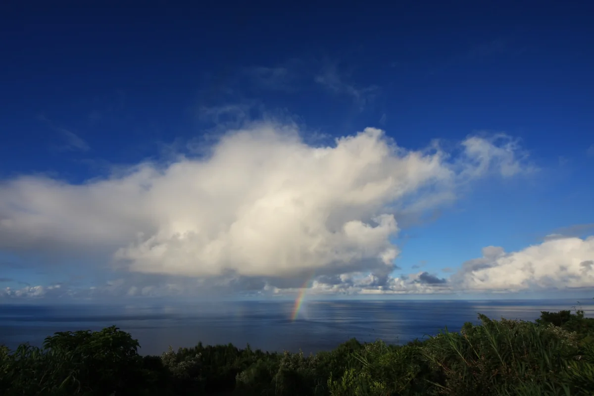 投稿写真：東京都 青ヶ島村