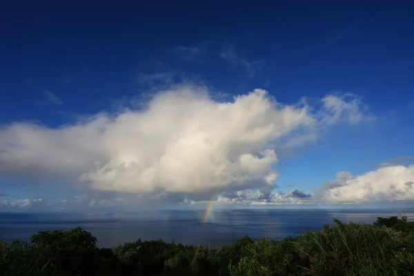 投稿：東京都 青ヶ島村