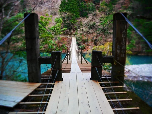 投稿：夢の吊り橋　寸又峡