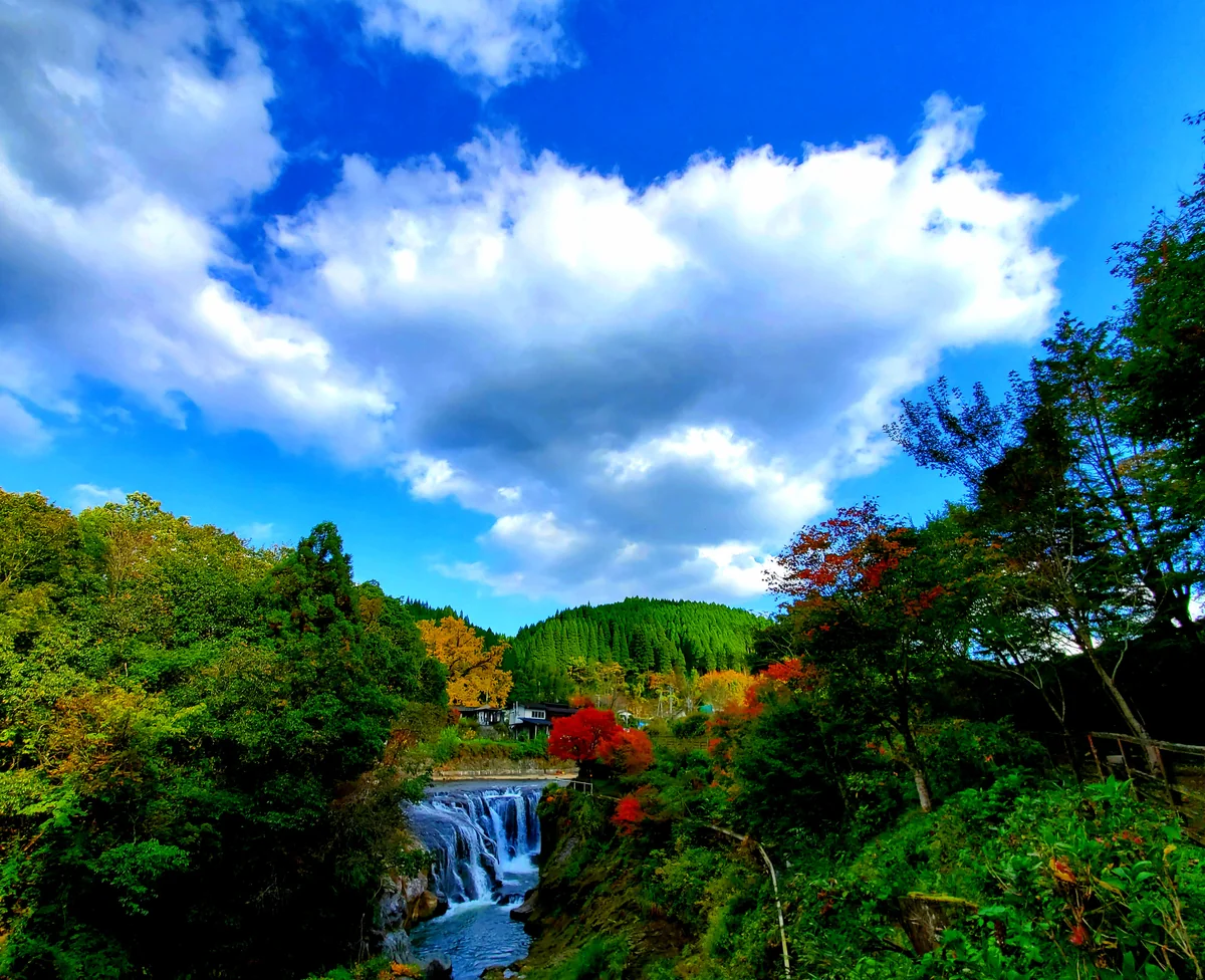 千夏さんの投稿写真