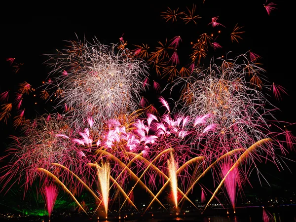 投稿：第４０回足立花火大会