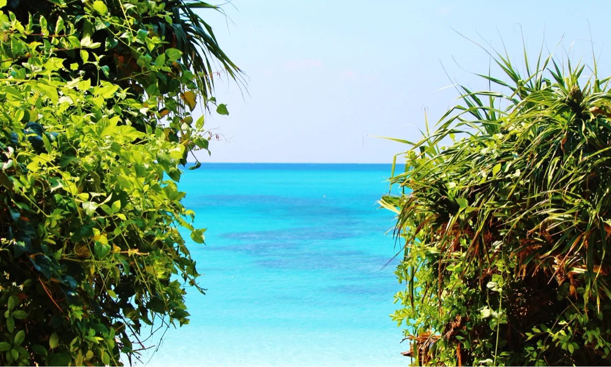 投稿写真：渡嘉敷島