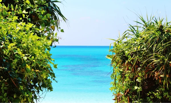 投稿：渡嘉敷島