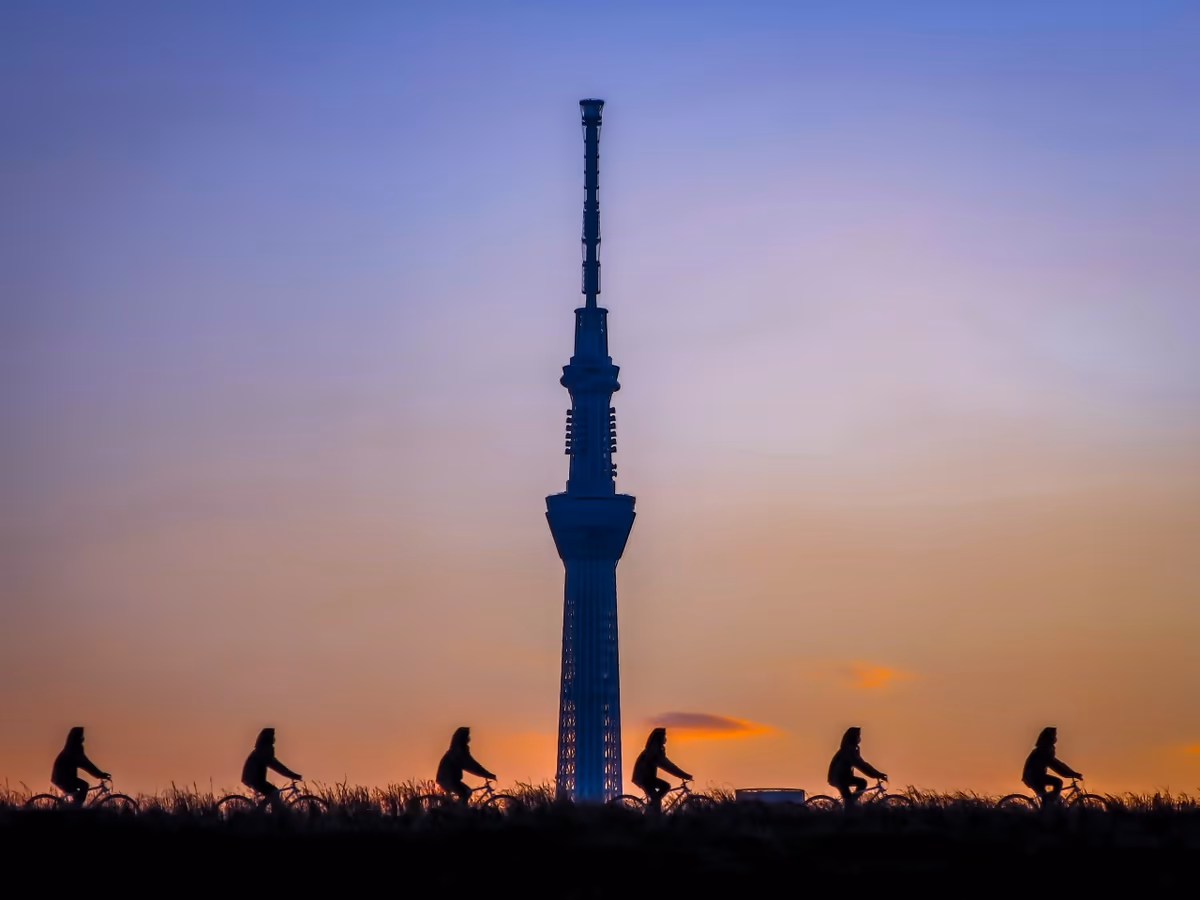 投稿写真：夕焼けシルエット
