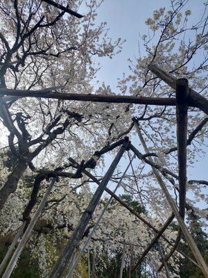  | 絶景事典