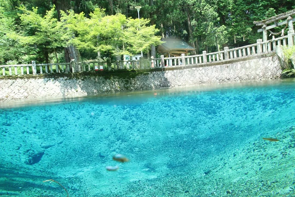 投稿写真：ターコイズブルーの泉