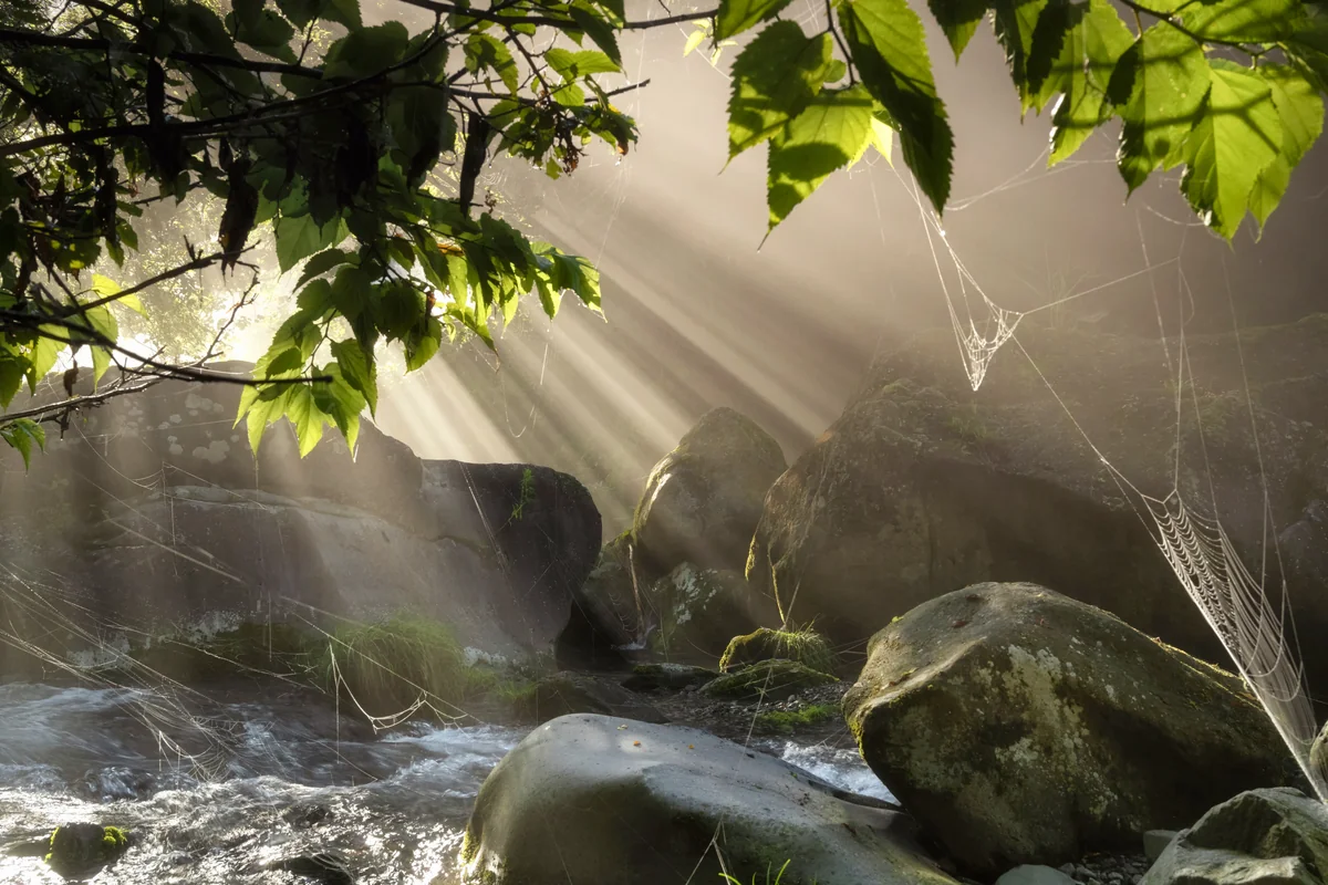 投稿写真：朝光の兆候