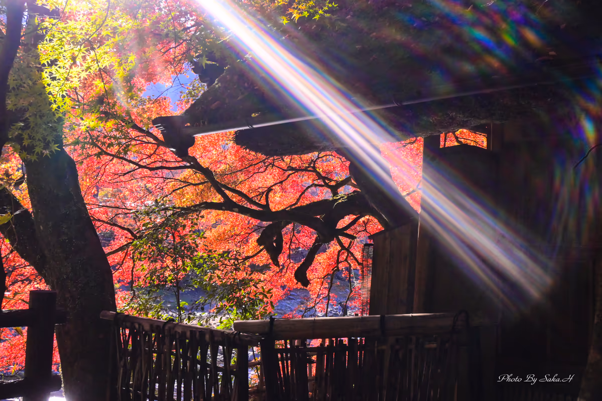 投稿写真：虹の光芒