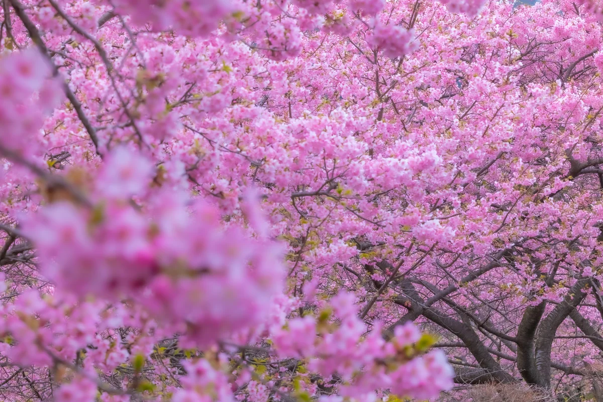 KNDさんの投稿写真