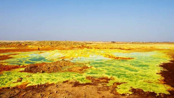 投稿：ダナキル砂漠