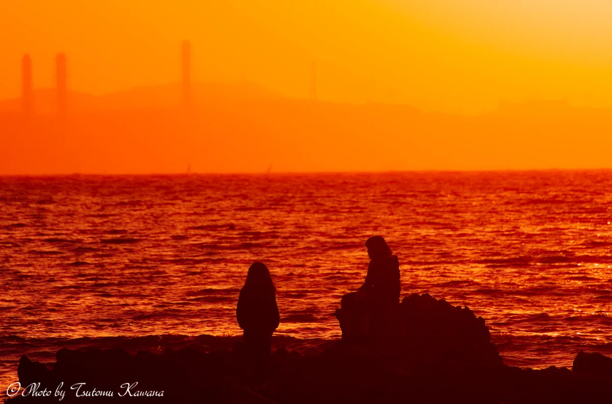 投稿写真：黄昏に溶け込む...