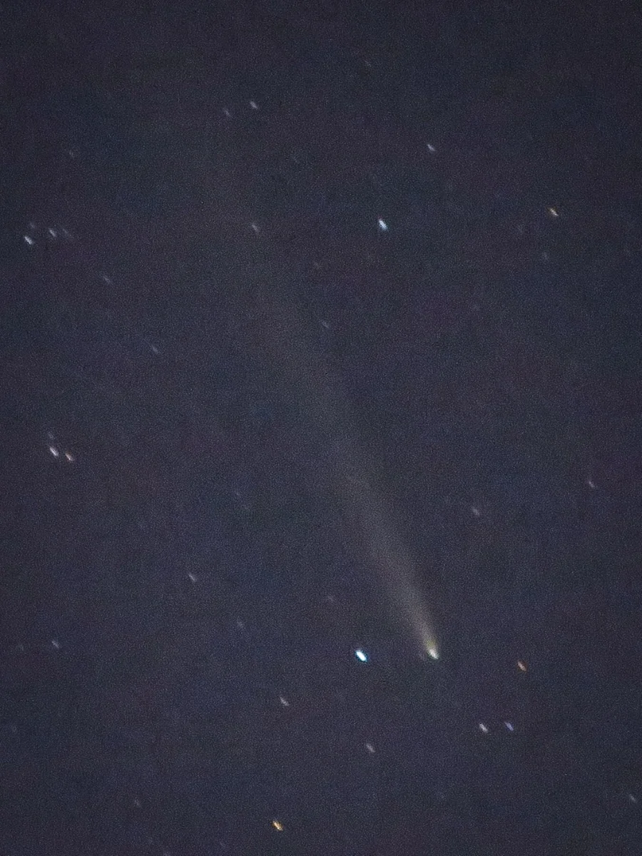 投稿写真：紫金山・アトラス彗星