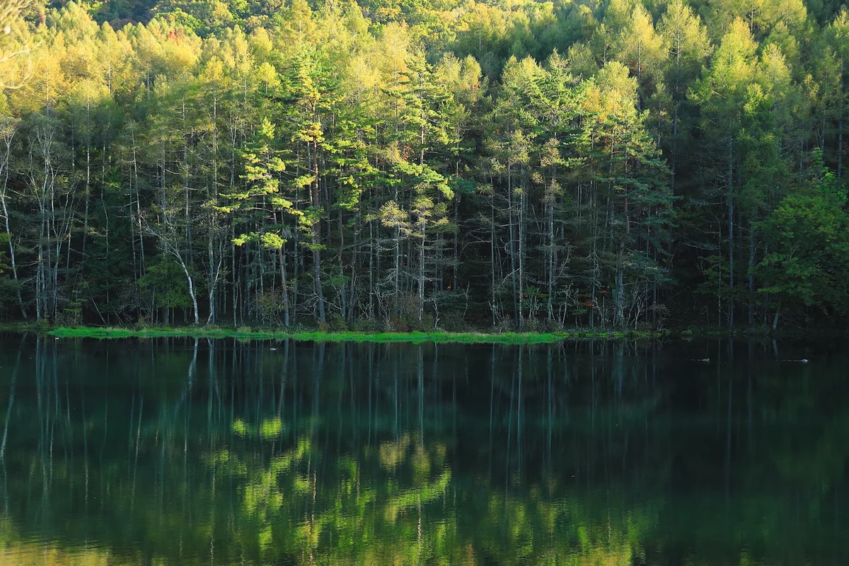 投稿写真：御射鹿池