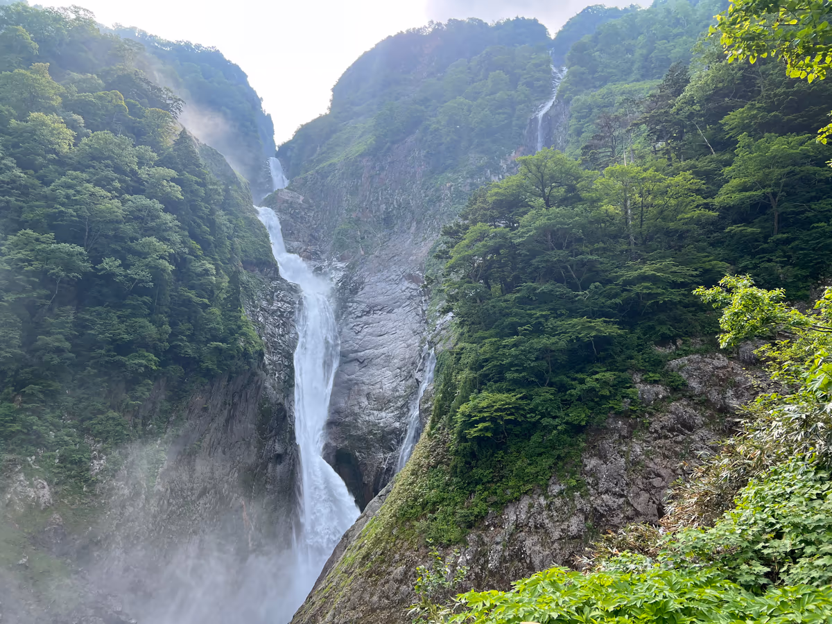 投稿写真：称名滝