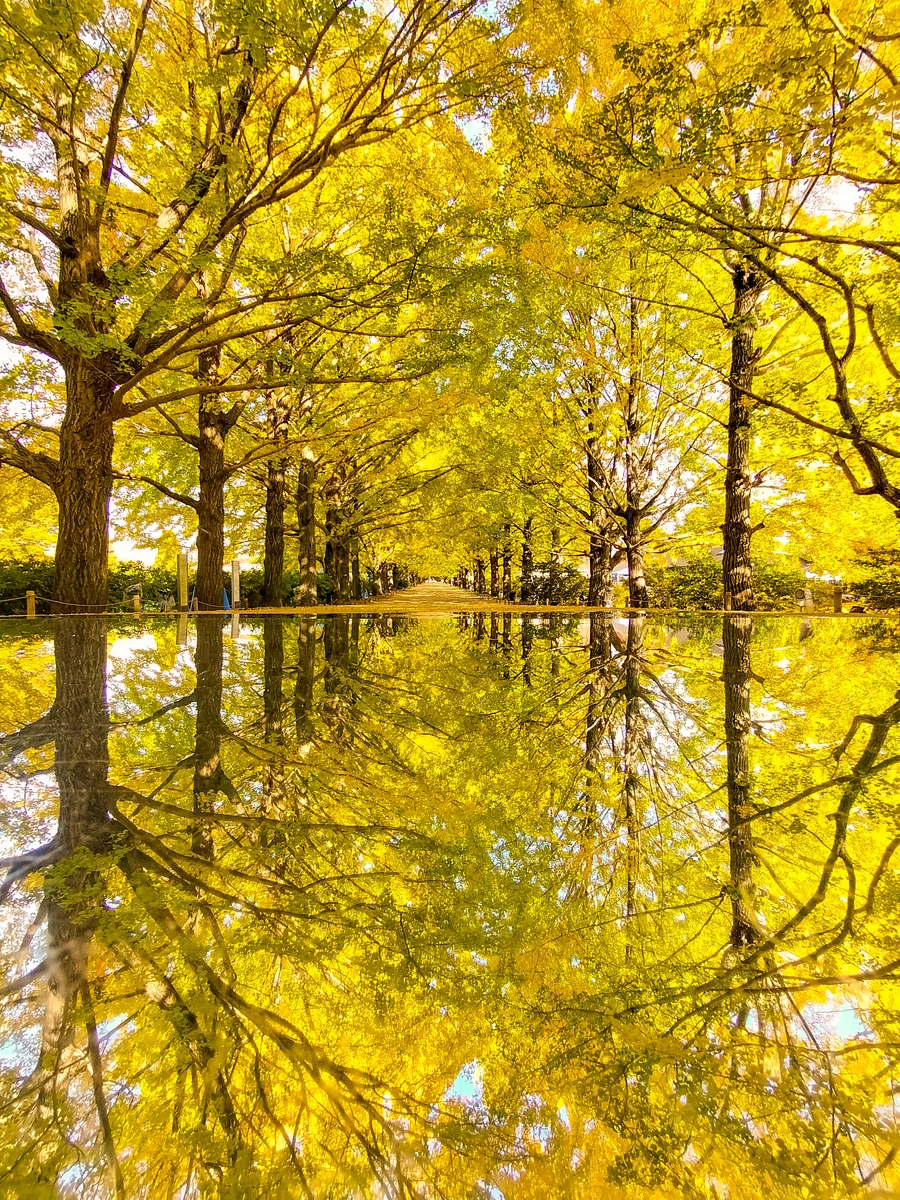 伊藤 和平さんの投稿写真