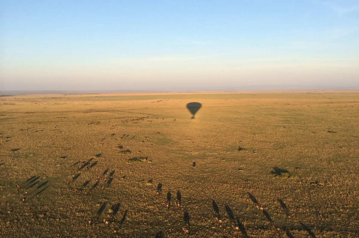 投稿写真：サバンナの朝日