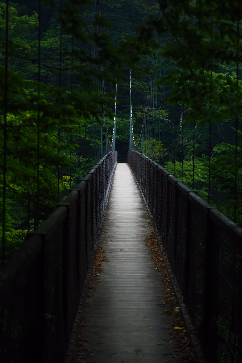 投稿写真：吊り橋