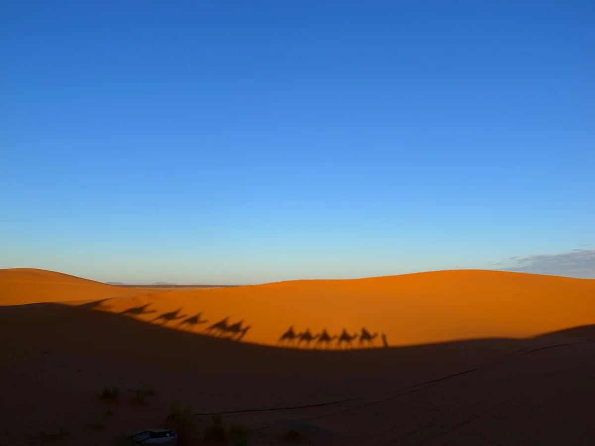 投稿写真：サハラ砂漠とラクダ