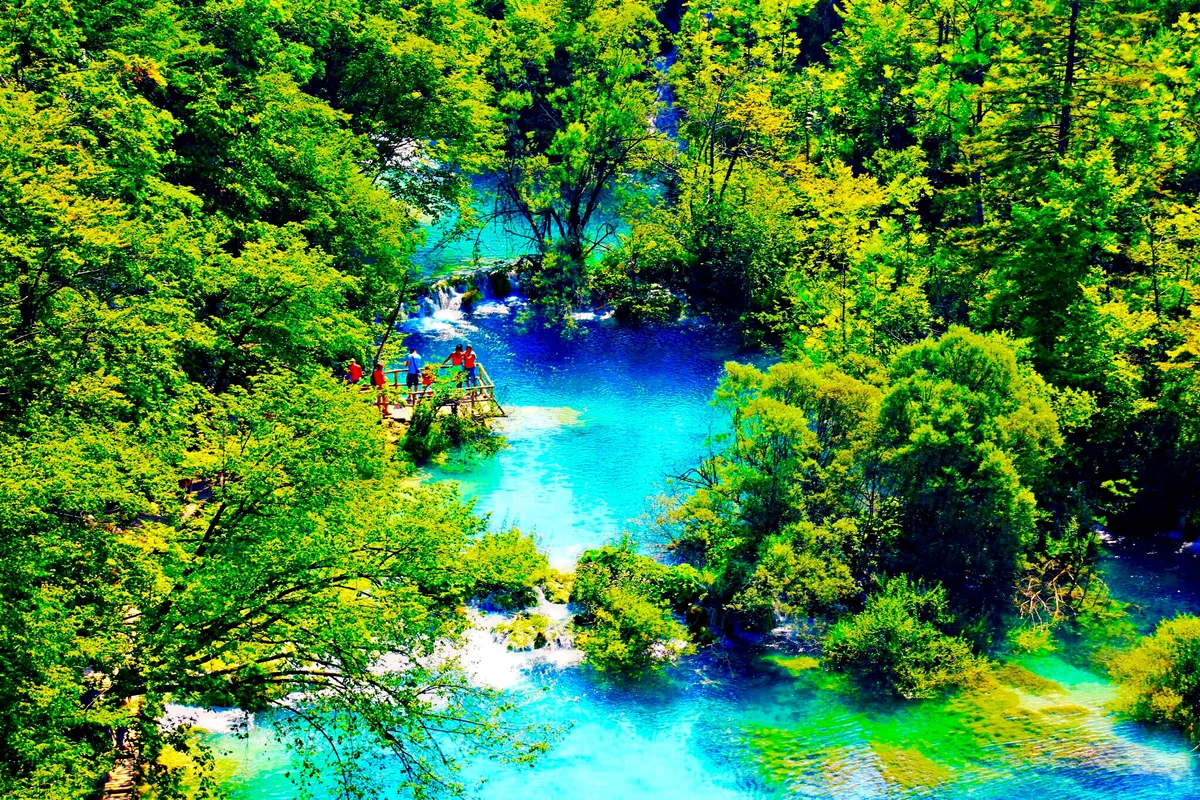 投稿写真：森の中の秘密 プリトヴィツェ国立公園