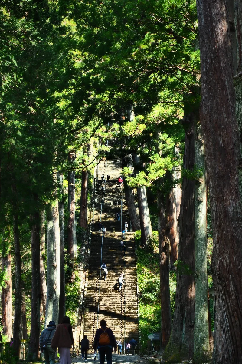 投稿写真：身延山久遠寺参道