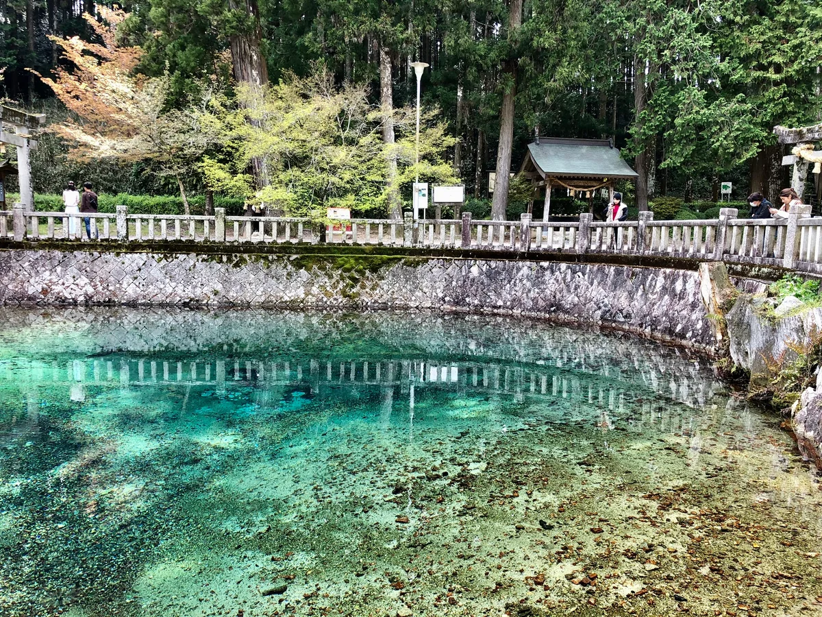 投稿写真：別府弁天池の感動の青