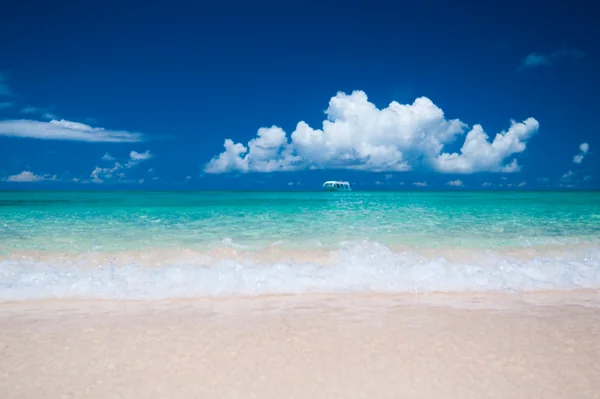 投稿：与論島　ウドノスビーチ