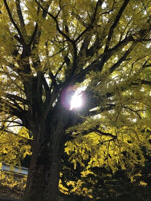  | 絶景事典