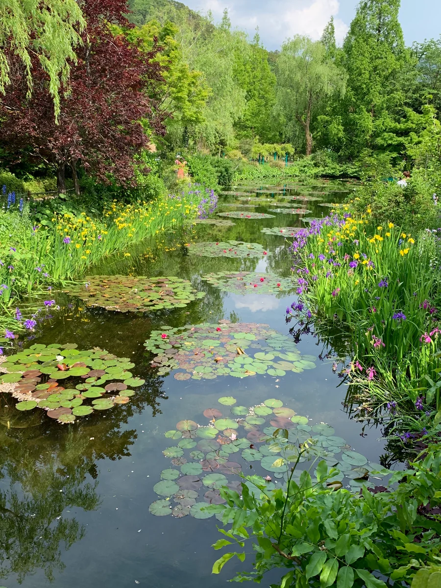 投稿写真：モネの庭