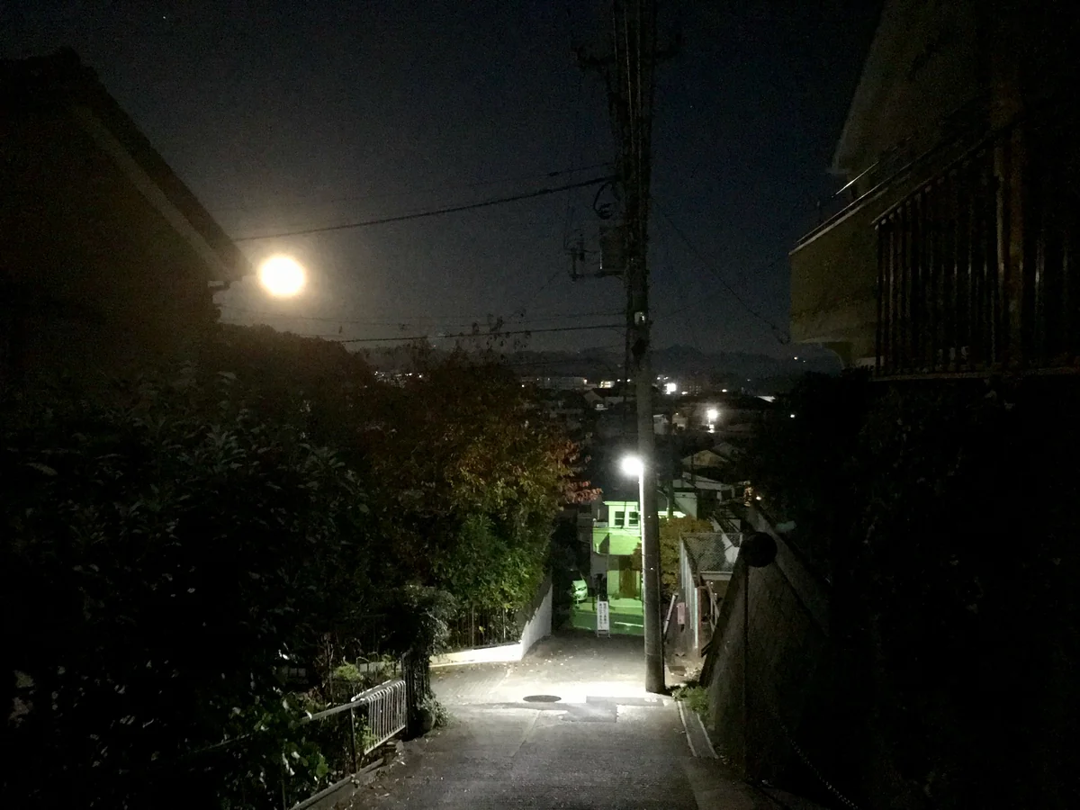 投稿写真：自宅前の坂道