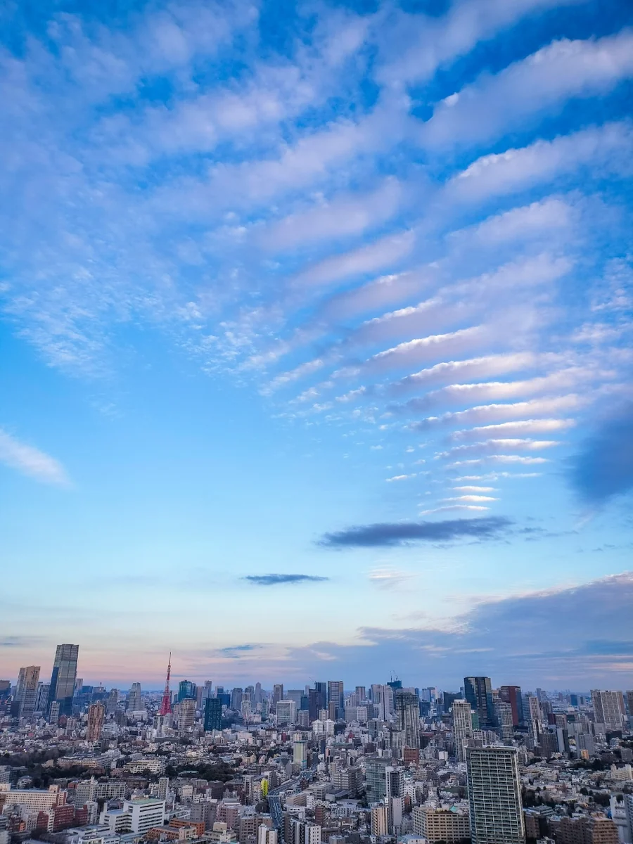投稿写真：波状雲