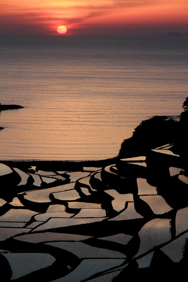 投稿写真：春宵一刻値千金