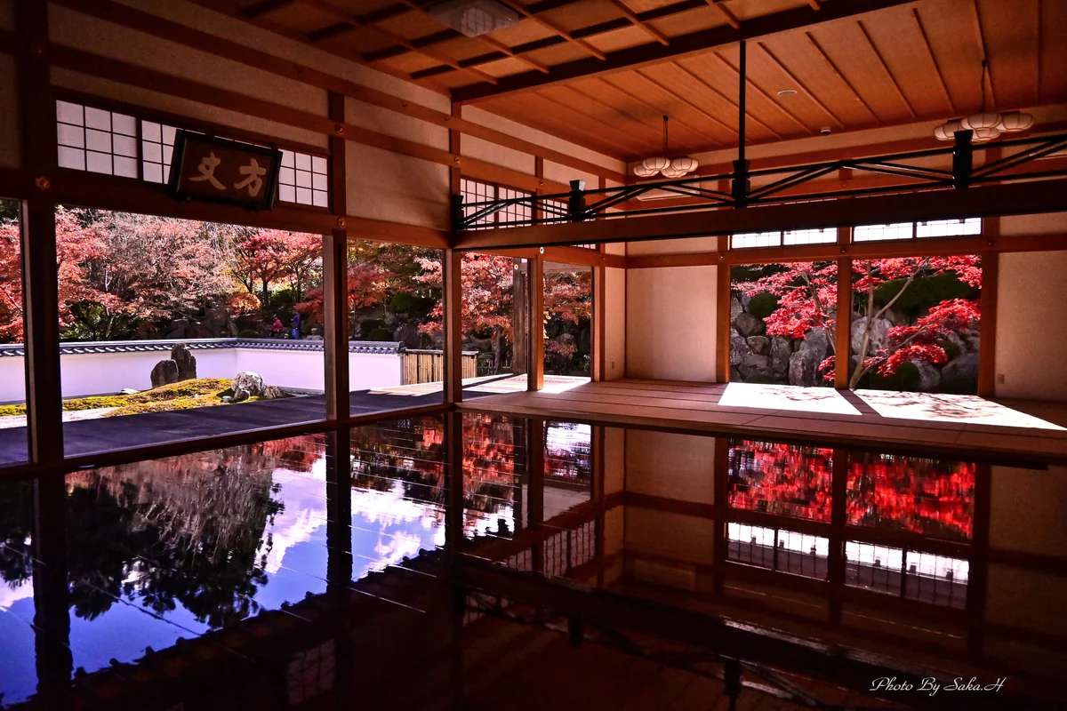 投稿写真：床もみじ