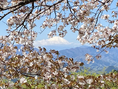  | 絶景事典