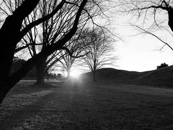 投稿：埼玉さきたま古墳公園
