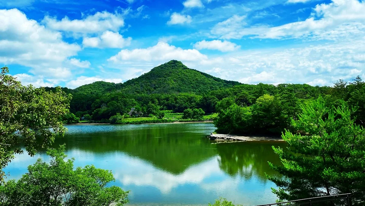 投稿写真：初夏の有馬富士