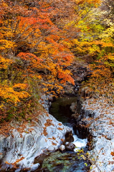 投稿：中津川渓谷の紅葉