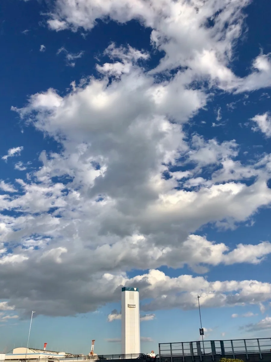 投稿写真：思いを雲に乗せて