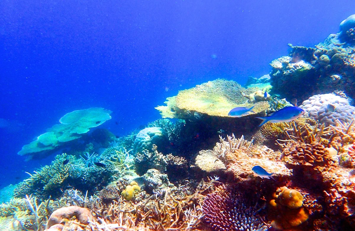 投稿写真：モルディブ