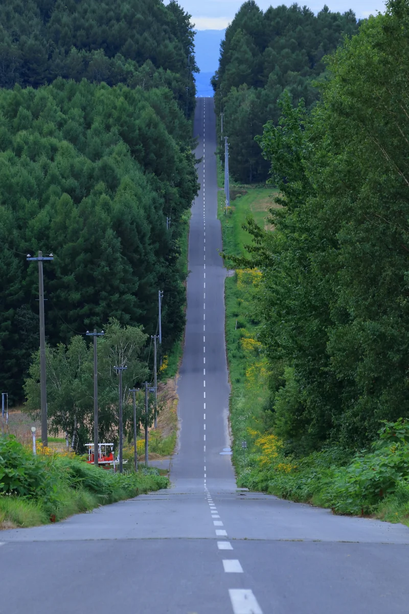 投稿写真：就実の丘