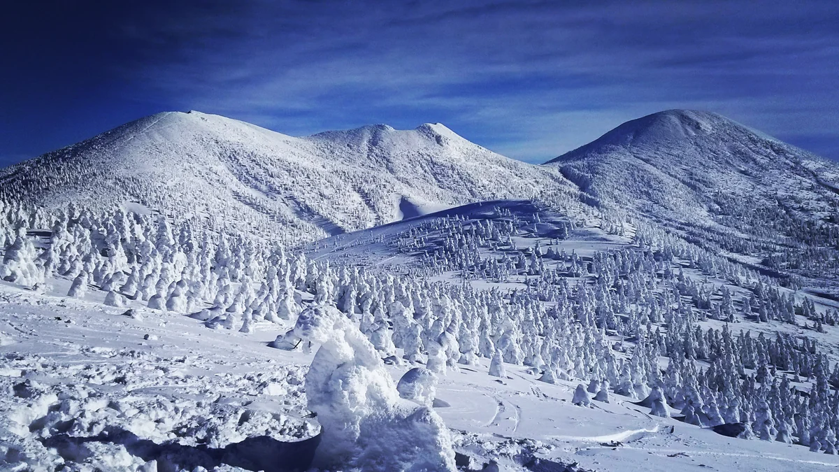 投稿写真：八甲田山の樹氷