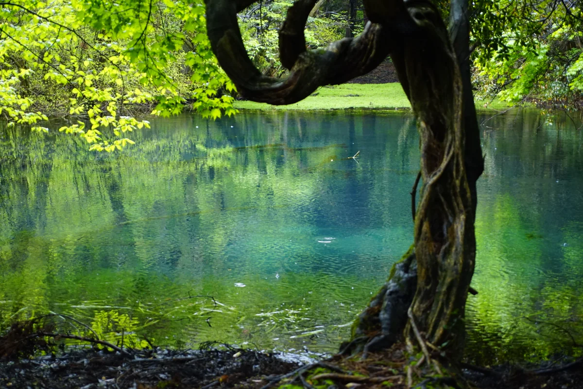 投稿写真：無題。