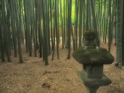  | 絶景事典