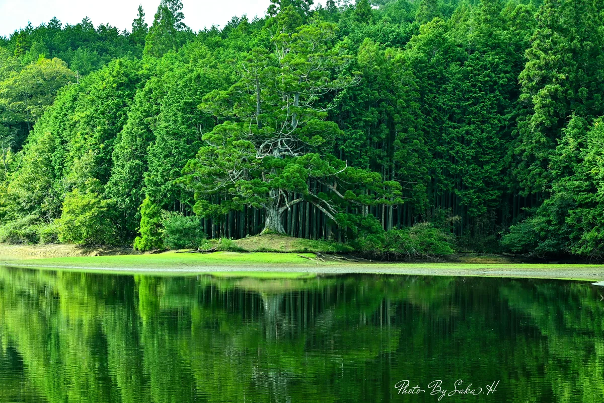 Hiromi Sakataさんの投稿写真