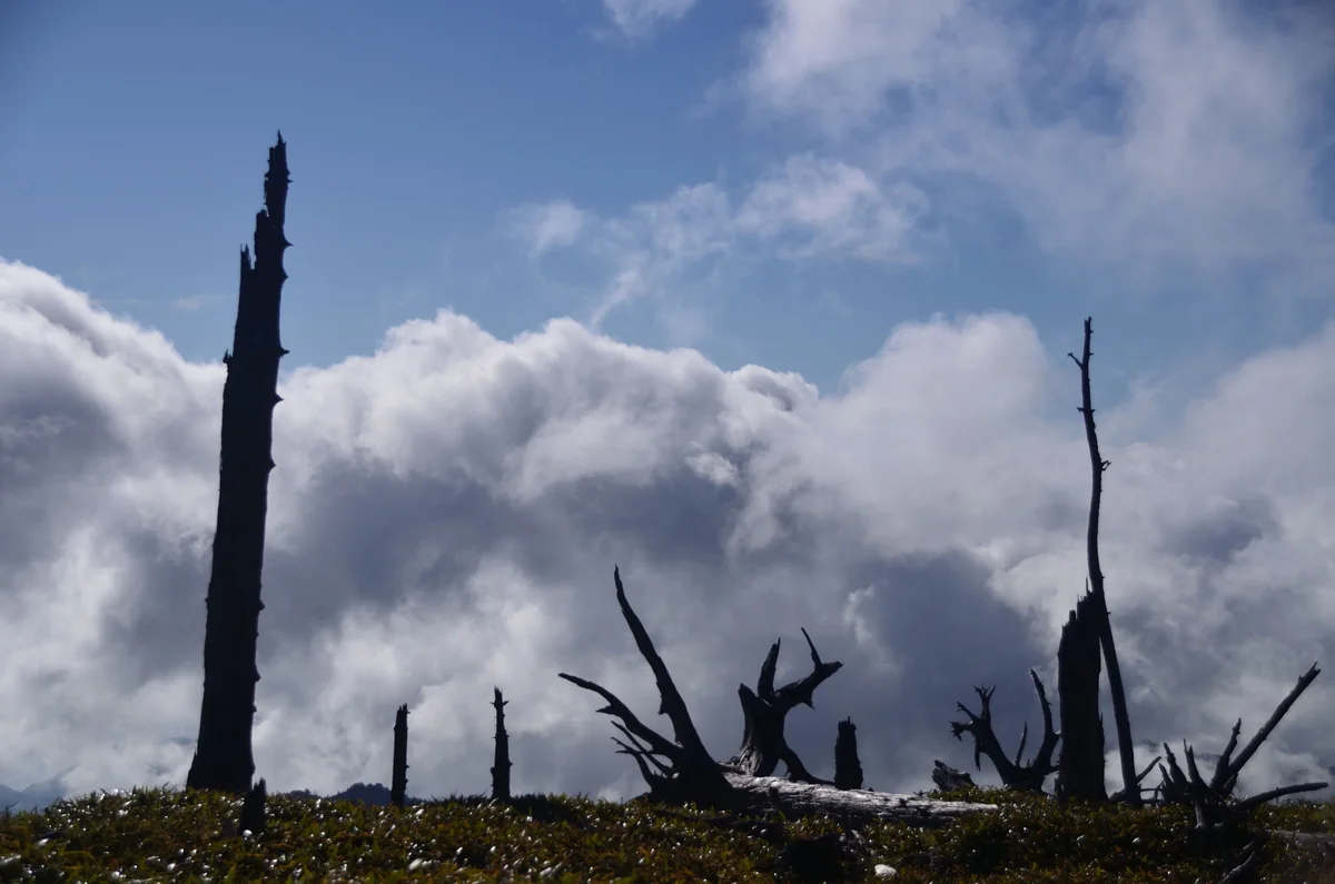 投稿写真：天空の墓標　沸き立つ雲