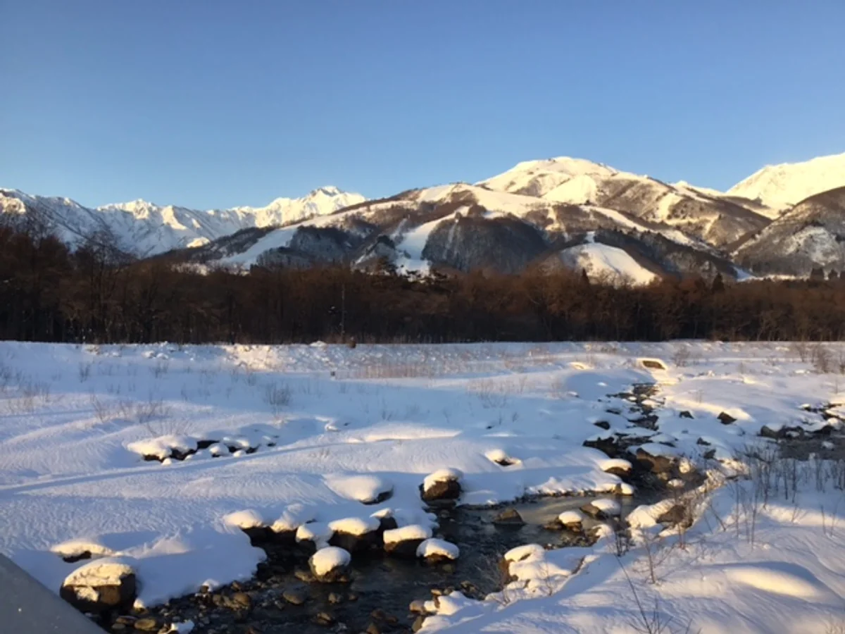 投稿写真：朝の白馬