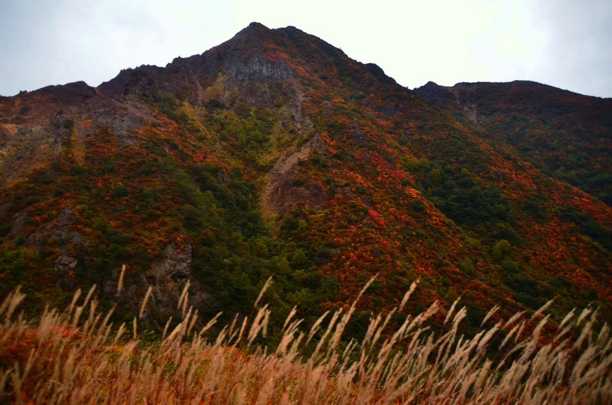 投稿写真：那須岳剣が峰紅葉
