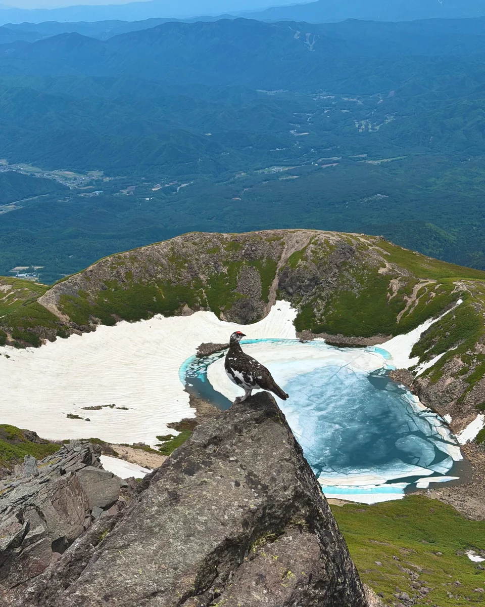投稿写真：御嶽山 三の池のドラゴンアイと雷鳥