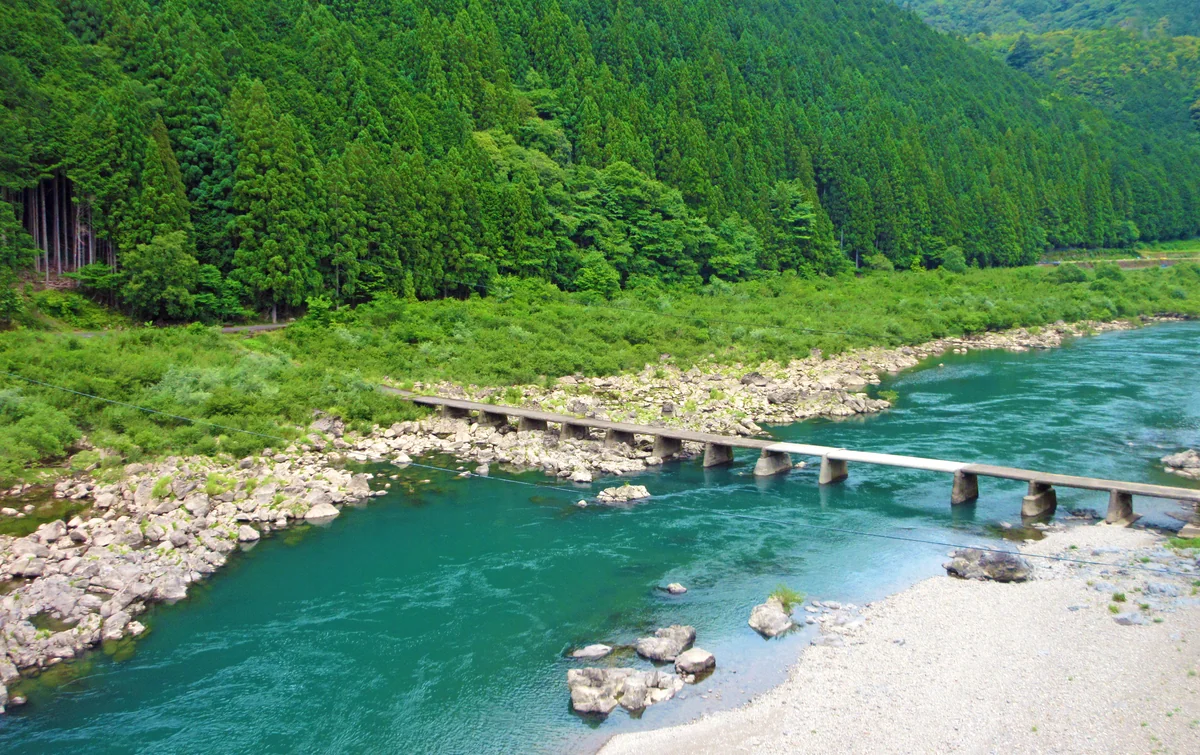 投稿写真：初夏、四万十へ