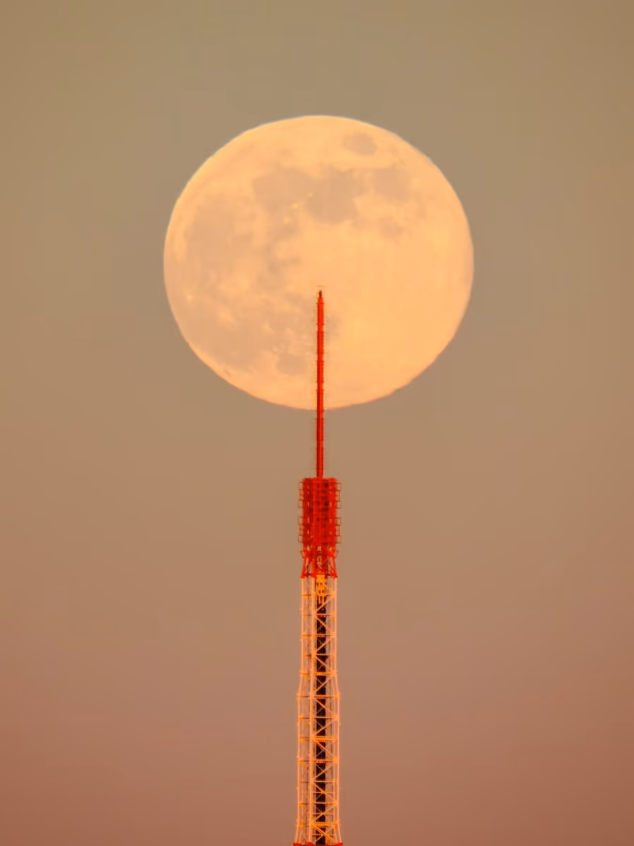 投稿写真：パール東京タワー